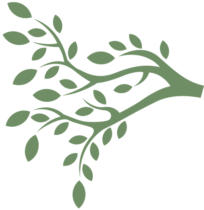 green tree branch